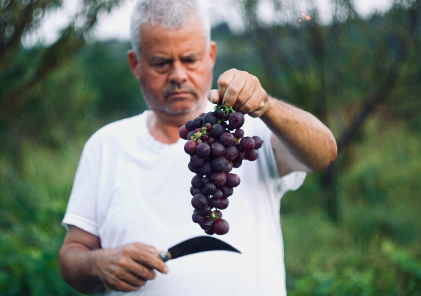 To better understand the needs of local farmers, we conducted short interviews at nearby farmer's markets.
Key insights were that having a smaller farm allows them to increase produce quality quite significantly. And they would rather stay on their farms and spend time farming, than commuting hours away.